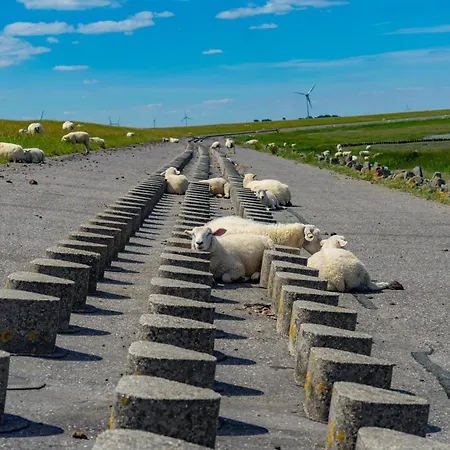 Lejlighed Sielufer *